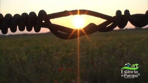 Renato Borghetti   Kilómetro Once (Transito Cocomarola)   Instrumental Sesc Brasil [VDownloader].00_00_10_24.Quadro005_349f151fee388381f508ee708269213e83ee9c4b.jpg